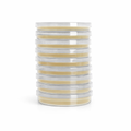 9 × Petri Dishes with Agar